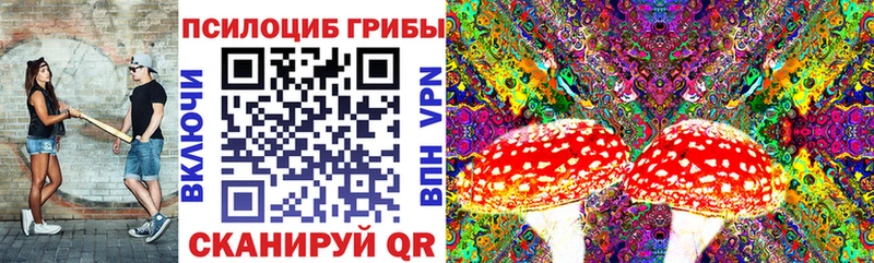 Галлюциногенные грибы мицелий  сколько стоит  Грязовец 