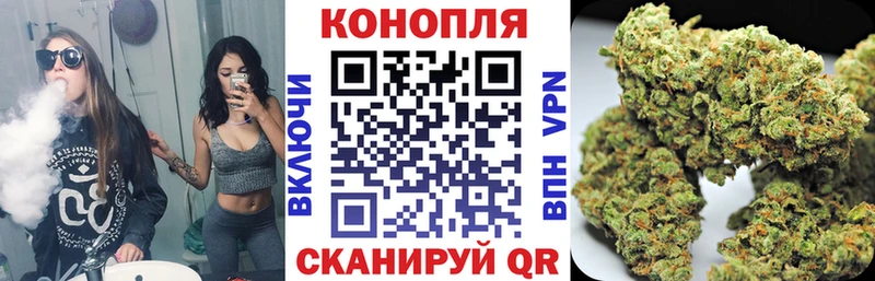 закладка  Грязовец  МАРИХУАНА сатива 